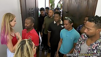 Milf Haley Reed E Sua Mãe Kiki Daire Enfrentam Vários Homens Negros