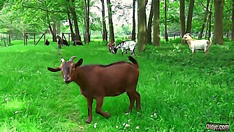 Un Vieux Potelé Se Fait Sucer La Bite Par Une Jeune Fille