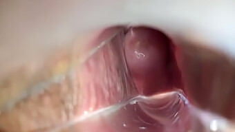 Intimate View Of Vaginal Climax