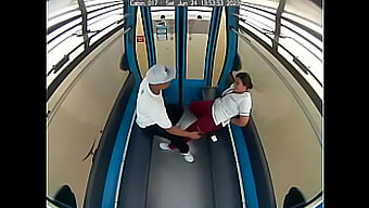 Full Video Of Public Sex In A Car