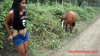 Pissing On A Horse: An Online Video Of A Man Peeing On A Horse