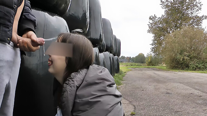 Dutch Mom Gets A Blowjob And Facial On The Road